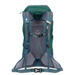Deuter AC LITE 30 Tagesrucksack ALPINEGREEN-ARCTIC 8 Deuter AC LITE 30 Tagesrucksack ALPINEGREEN-ARCTIC -Outdoorartikel 5638024287 c ac lite 30 deuter 24